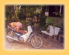 Auf den Strassen Koh Samuis