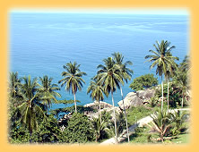 Beverly Hills View Point